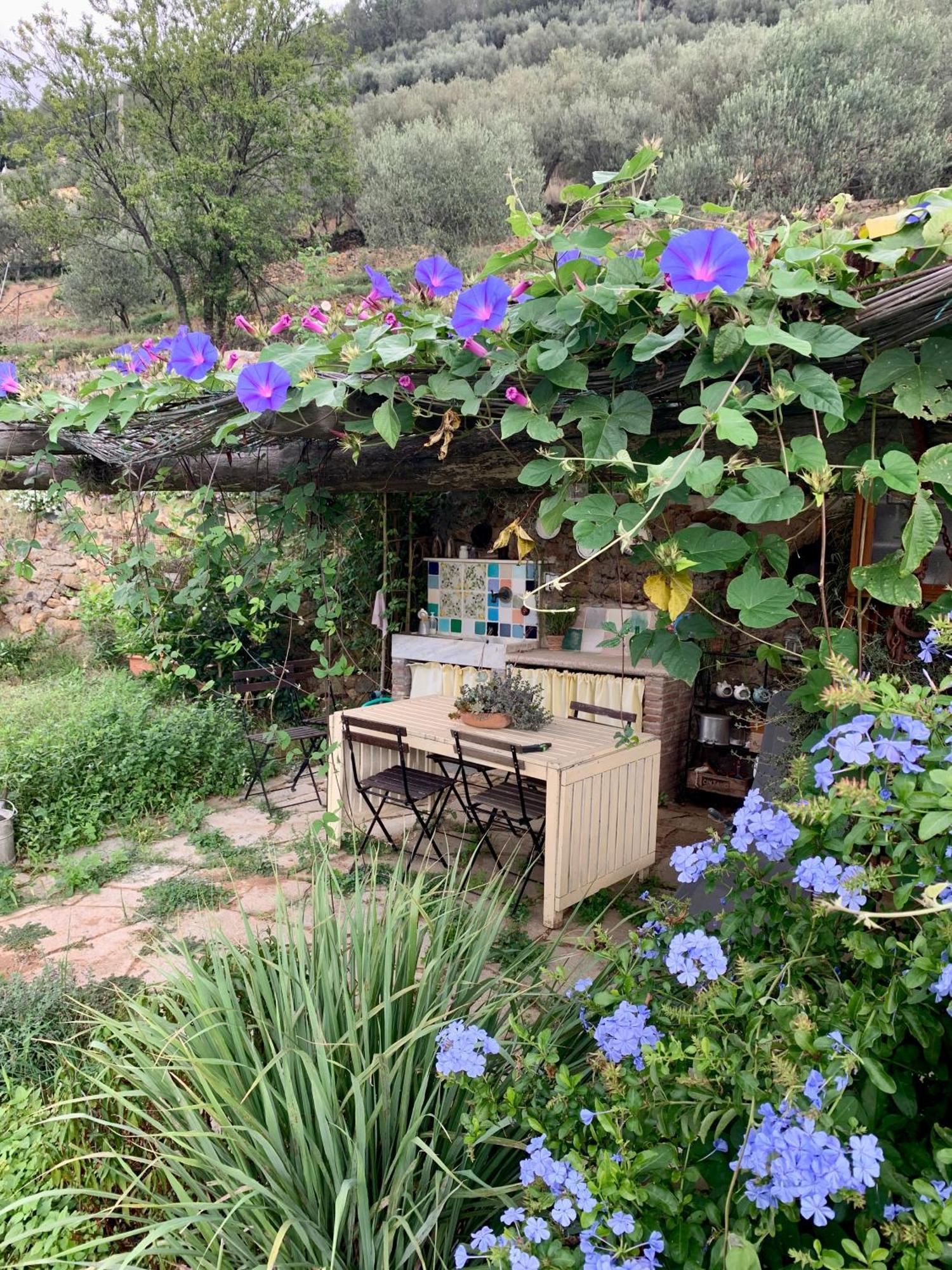 נולי B&B Ca De Badin מראה חיצוני תמונה