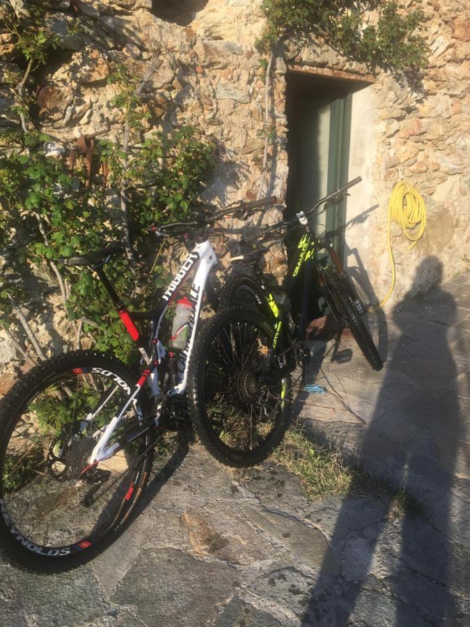 נולי B&B Ca De Badin מראה חיצוני תמונה